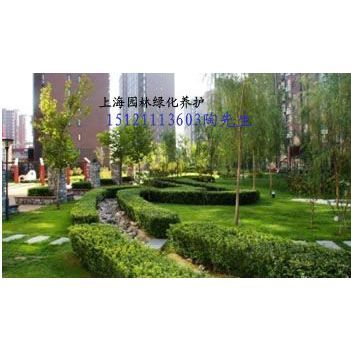 上海园林绿化养护专业服务 浦东室外与厂区绿化的一站式解决方案